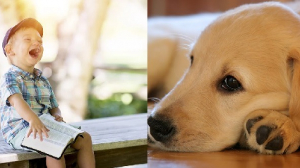 Illustration : Le temps de lecture des enfants grandement augmenté en présence de chiens de thérapie ? 