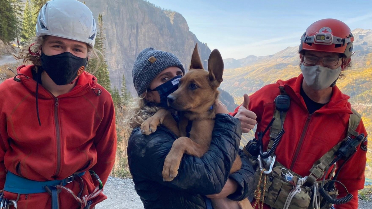 Illustration : "Un duo d'amis risque sa vie pour sauver celle d'un chiot coincé dans la montagne après une chute de plusieurs mètres !"