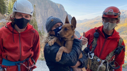 Illustration : Un duo d'amis risque sa vie pour sauver celle d'un chiot coincé dans la montagne après une chute de plusieurs mètres !