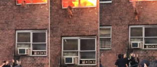 Illustration : "Un chat pris au piège dans l'incendie d'un appartement saute du deuxième étage pour atterrir dans les bras des secours (Vidéo)"