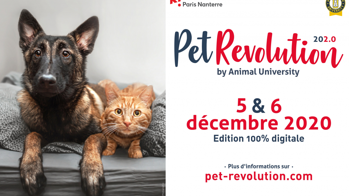 Illustration : "Pet Revolution : assistez au séminaire 100% digital autour de la psychologie, du comportement et du bien-être des animaux"