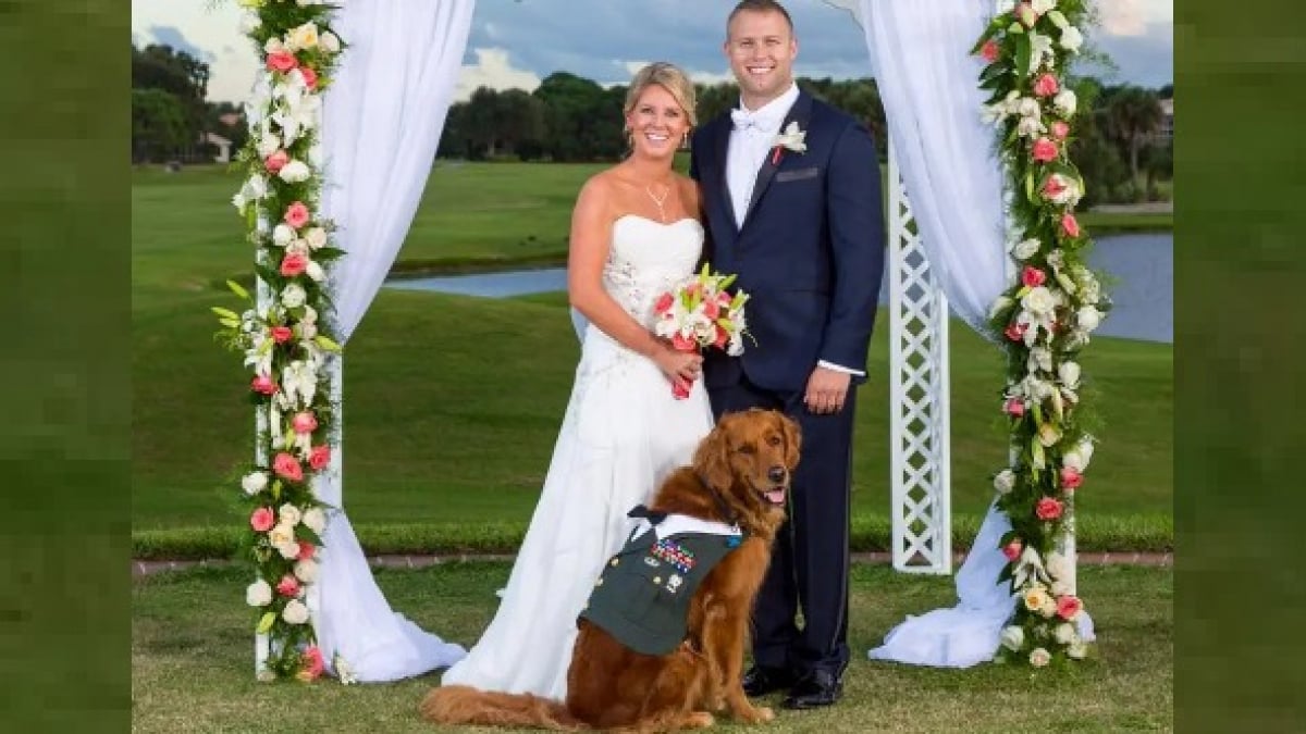 Illustration : "Meilleurs amis, ce vétéran de guerre handicapé décide de faire de son Golden Retriever, le témoin de son mariage !"