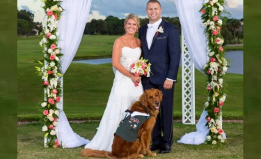 Illustration : "Meilleurs amis, ce vétéran de guerre handicapé décide de faire de son Golden Retriever, le témoin de son mariage !"