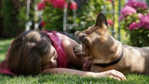 Illustration : Le projet KDOG de dépistage du cancer du sein par les chiens entre dans une nouvelle phase