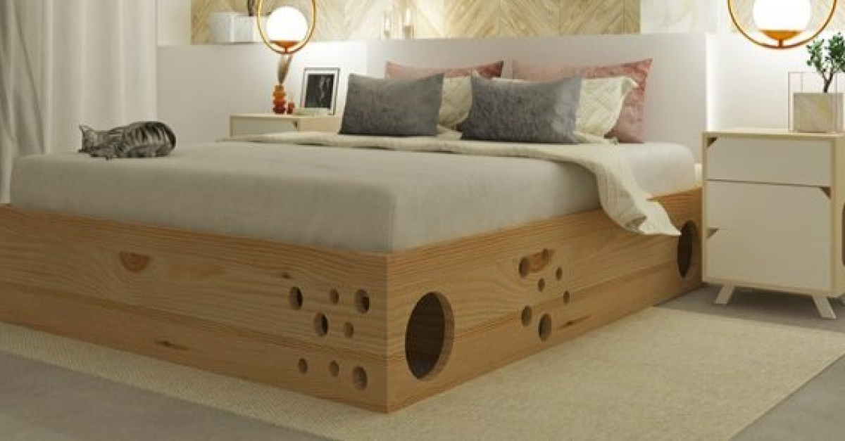 Des Createurs Innovants Inventent Un Lit Labyrinthe Concu Pour Les Chats Et Leurs Humains