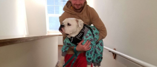 Illustration : "Récemment adopté, ce chien force ses nouveaux parents à le porter à chaque fois qu'il croise un escalier grâce à son jeu d'acteur !"
