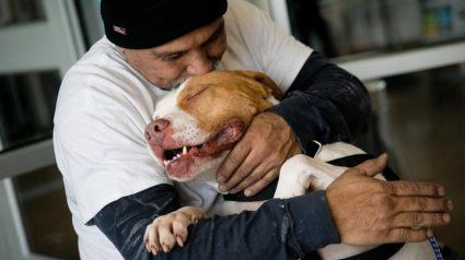 Illustration : Contraint à abandonner son chien parce qu'il inquiétait le voisinage, il déménage pour avoir le droit de le récupérer !