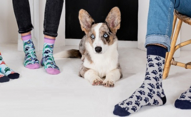 Illustration : "Cabaïa soutient la SPA à travers la 3e édition des chaussettes « Les Inséparables »"