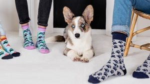 Illustration : Cabaïa soutient la SPA à travers la 3e édition des chaussettes « Les Inséparables »