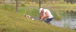 Illustration : "Un homme se jette à l'eau pour tenter de sauver son chien pris au piège dans la gueule d'un alligator ! (Vidéo)"
