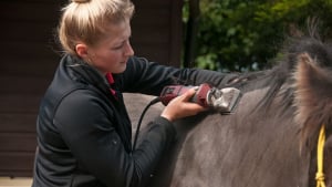 Illustration : "Réussir la tonte de son cheval"