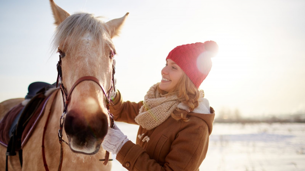 Illustration : "Travailler son cheval en hiver"