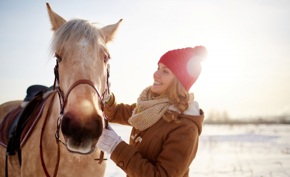 Illustration : "Travailler son cheval en hiver"
