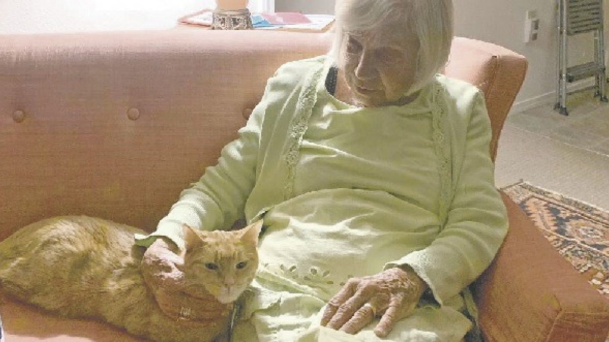 Illustration : "Dépressif depuis la perte de son propriétaire, un chat retrouve l'amour dans les bras d'une nonagénaire atteinte d'Alzheimer et isolée qui rêvait d'un chat "