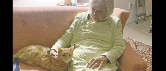 Illustration : "Dépressif depuis la perte de son propriétaire, un chat retrouve l'amour dans les bras d'une nonagénaire atteinte d'Alzheimer et isolée qui rêvait d'un chat "