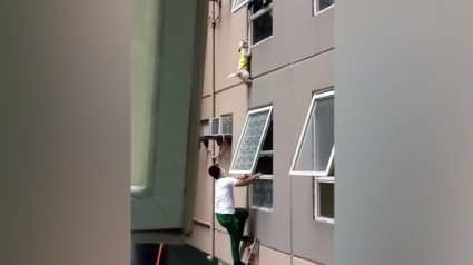 Illustration : Les secours interviennent pour tenter de sauver un chien accroché à la paroi d'un appartement après une chute à 10 mètres de hauteur (Vidéo)