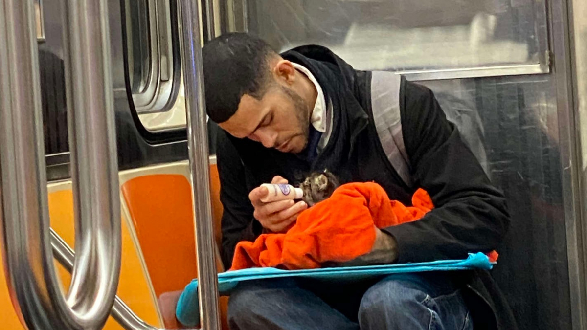 Illustration : "Émue par le comportement d'un homme dans le métro new-yorkais, elle découvre qu'il vient de sauver un chaton errant entre deux immeubles"