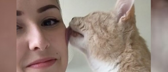 Illustration : "Vidéo - Cette femme ne voulait pas de chat dans sa vie. Grâce à ce félin qui lui fait une léchouille chaque jour, elle est devenue accro"