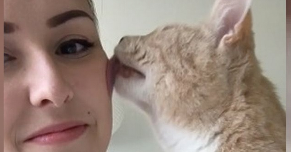 Video Cette Femme Ne Voulait Pas De Chat Dans Sa Vie Grace A Ce Felin Qui Lui Fait Une Lechouille Chaque Jour Elle Est Devenue Accro Video Cette Femme Ne Voulait Pas De Chat Dans Sa Vie Grace A Ce Felin Qui Lui Fait Une Lechouille Chaque Jour Elle Est Devenue Accro