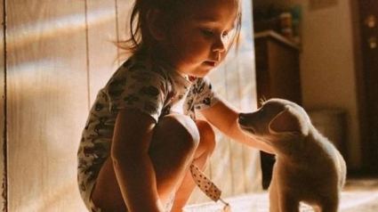 Illustration : 13 photos qui illustrent parfaitement ce qu'est réellement la relation enfant-animal