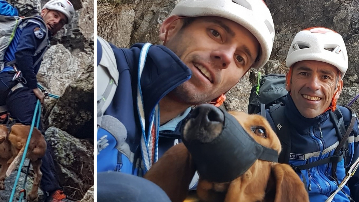 Illustration : "2 gendarmes interviennent à 2 600 mètres d'altitude pour venir en aide à un chien coincé 2 nuits entières en montagne"