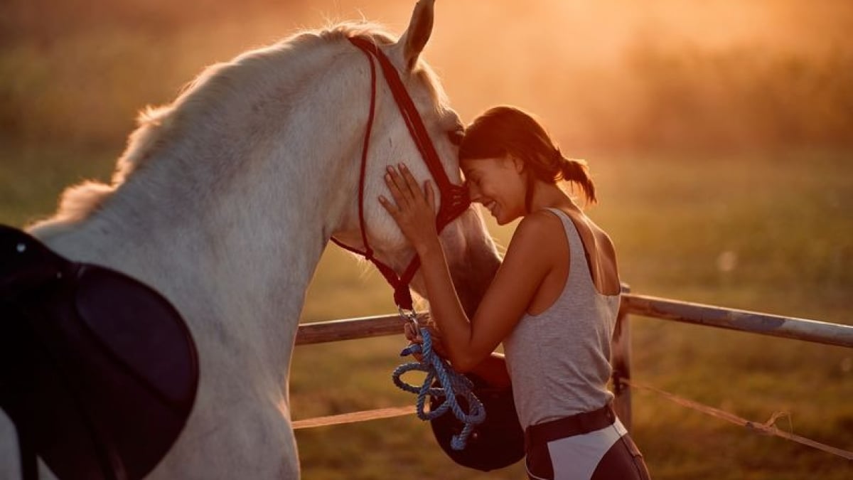 Chevaux de course: le rêve peut-il faire oublier le risque