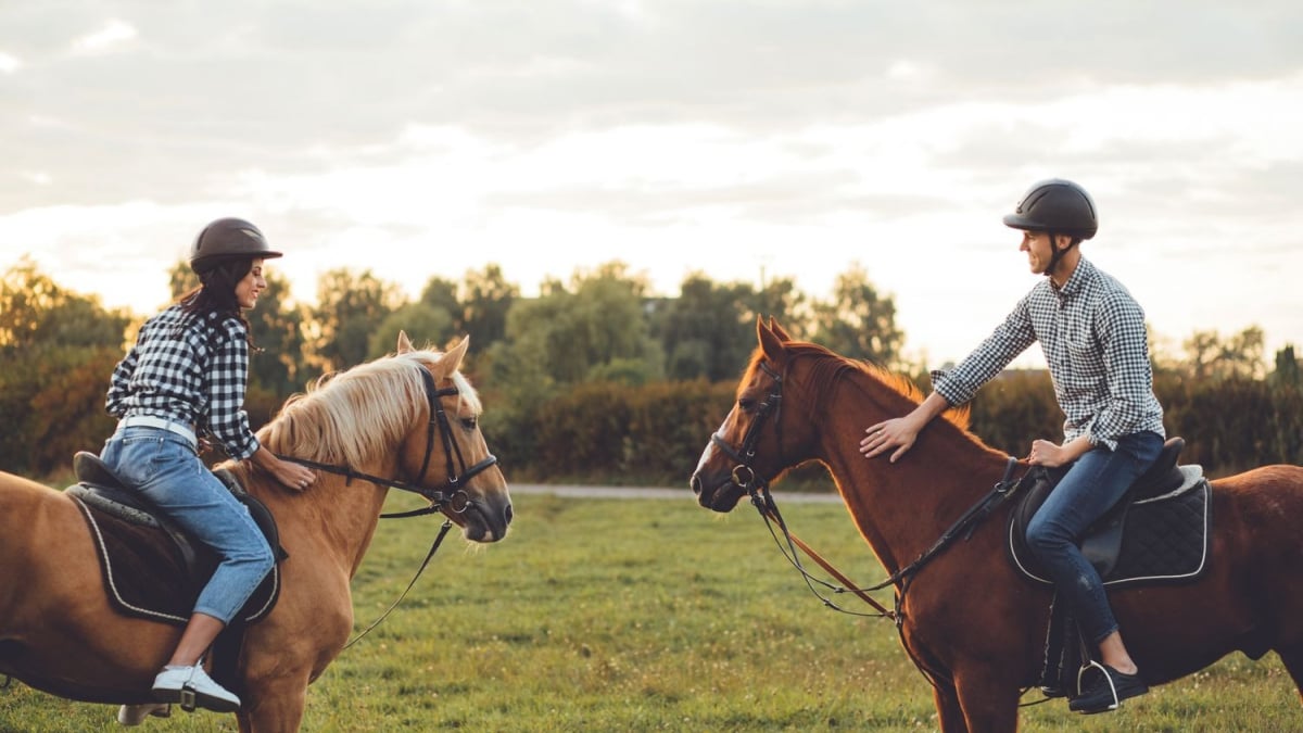 Illustration : "Les principales règles de sécurité à respecter à cheval et à pied"