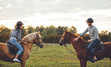 Illustration : "Les principales règles de sécurité à respecter à cheval et à pied"