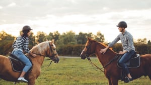 Illustration : Les principales règles de sécurité à respecter à cheval et à pied