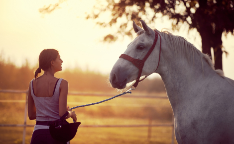 Illustration : Tester les 7 jeux de Parelli avec son cheval