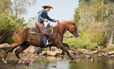 Illustration : "L'équitation western"