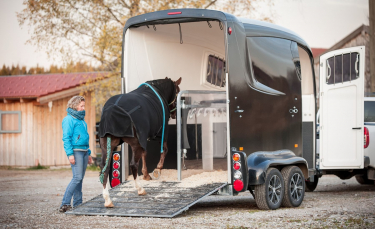 Illustration : "Equiper son cheval pour le transport "