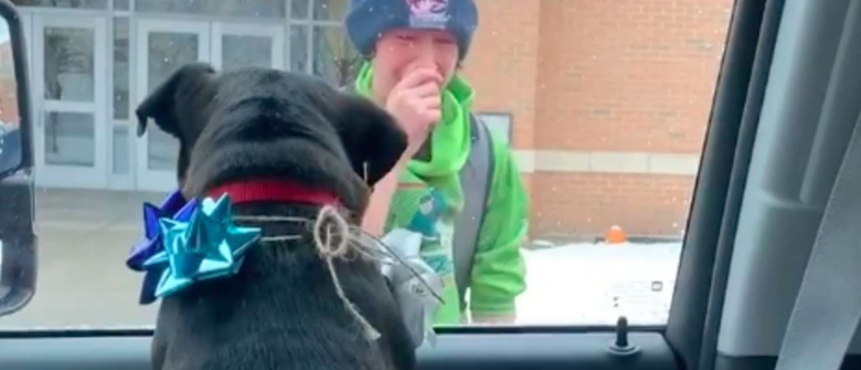 Illustration : "Ému par la perte de son chien, un jeune homme fond en larmes quand ses parents lui ramènent son chien à la sortie de l'école"