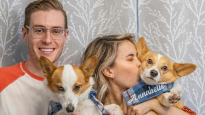 Illustration : 20 chiens qui ont décidé que la photo de Noël ne se ferait pas sans eux cette année 