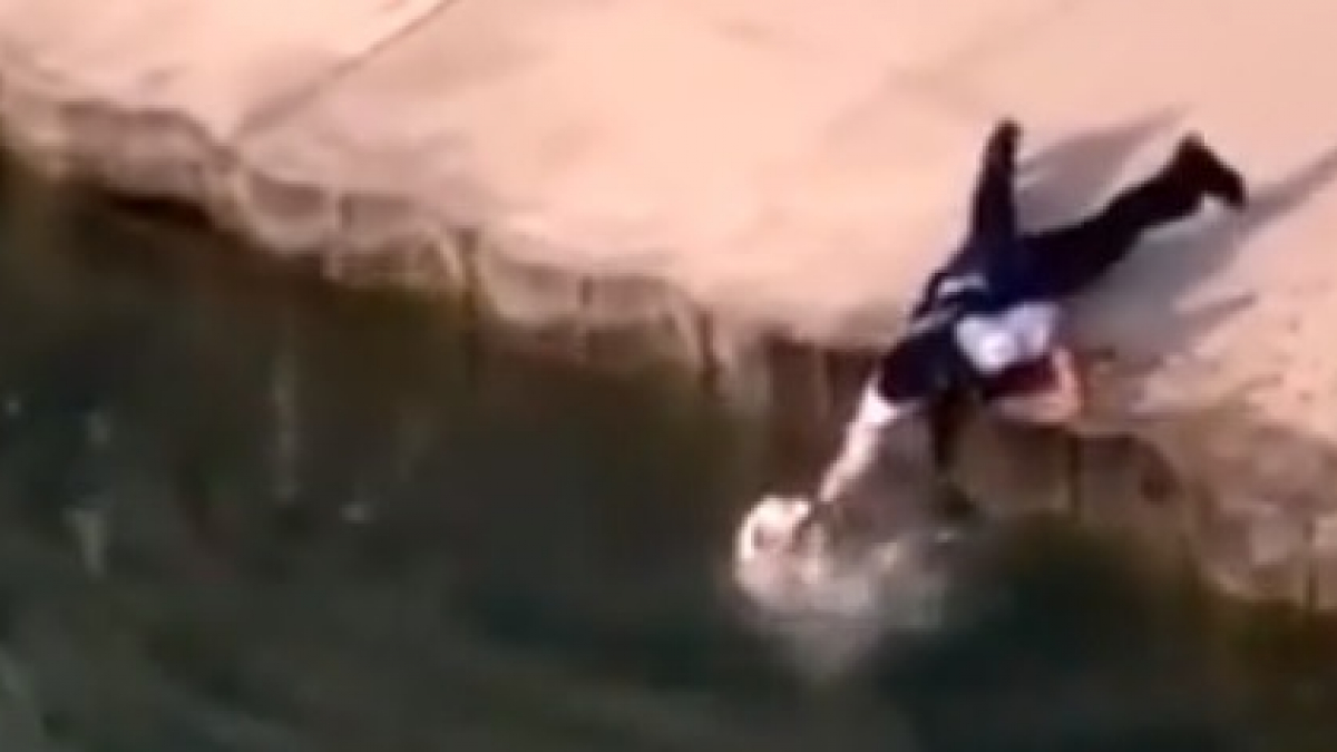 Illustration : "Interpellé par un chien sur le point de se noyer, ce policier vient à son secours sans se poser de question (Vidéo)"