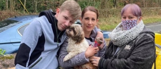 Illustration : "Alors qu'elle avait perdu tout espoir, une femme retrouve son chien 8 ans plus tard grâce à sa puce d'identification"