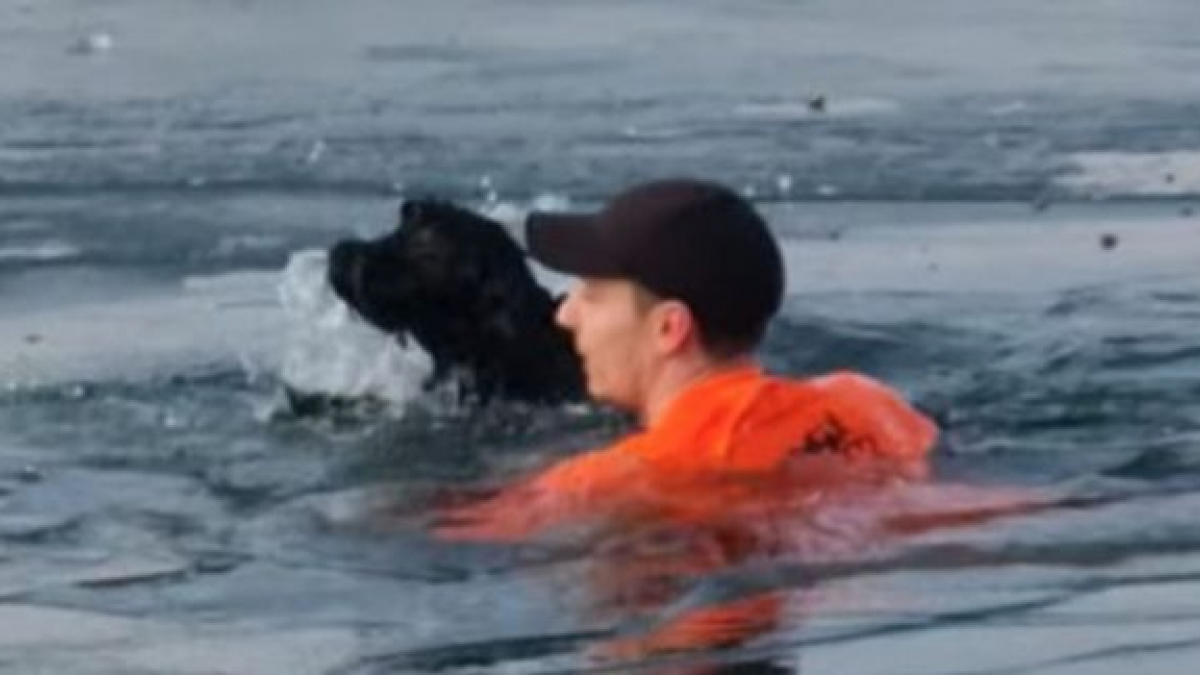 Illustration : "Un jeune homme risque sa vie pour sauver un chien de la noyade dans un lac gelé"