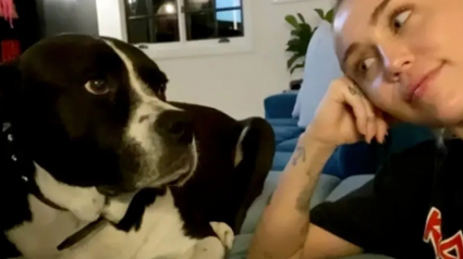 Illustration : La chanteuse Miley Cyrus rend hommage à sa chienne Mary Jane en lui dédiant une chanson inédite