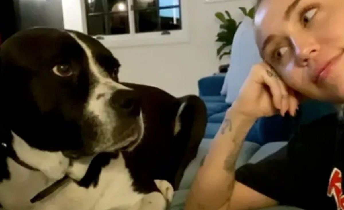 Illustration : "La chanteuse Miley Cyrus rend hommage à sa chienne Mary Jane en lui dédiant une chanson inédite"