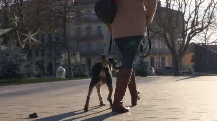 Illustration : Des haut-parleurs pour rappeler à l'ordre les habitants qui ne ramassent pas les crottes de leurs chiens, la nouvelle idée du maire de Béziers