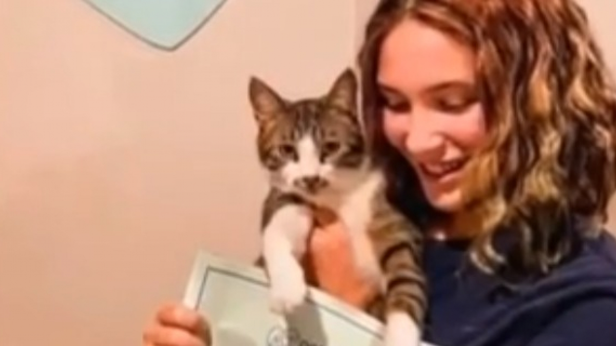 Illustration : "Une adolescente remporte un concours avec une dissertation sur son chat et offre son prix de 40 000 euros à un refuge"