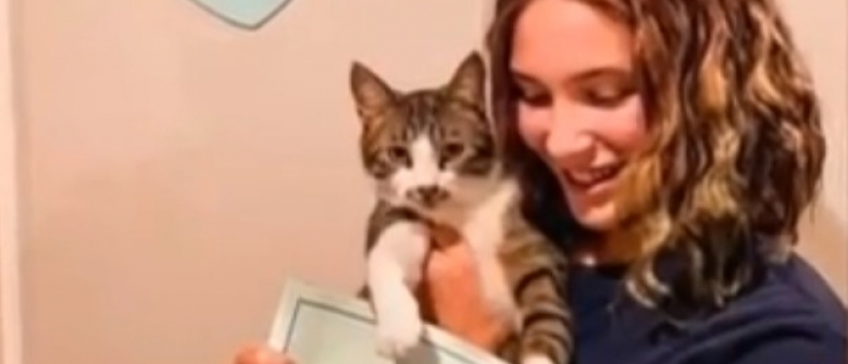 Un Chat Atteint De Nanisme Fait Tout Pour Surmonter Ses Nombreux Problemes De Sante Un Chat Atteint De Nanisme Fait Tout Pour Surmonter Ses Nombreux Problemes De Sante