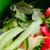 Illustration : Les aliments dangereux et toxiques pour les poules