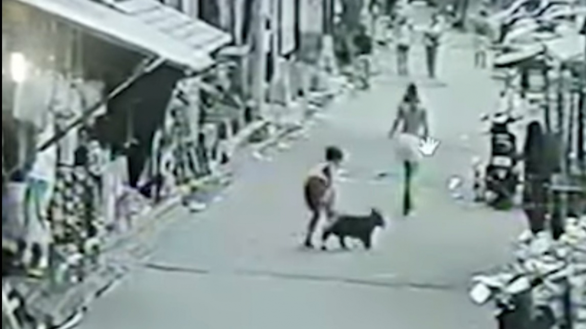 Illustration : "Une femme renversée et blessée par un train en tentant de sauver un chien sur les voies ! (vidéo)"