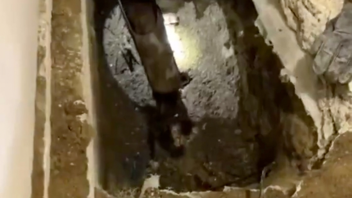 Illustration : "Les pompiers tentent d’extraire un chat coincé dans un minuscule tuyau d’évacuation avec un marteau-piqueur (Vidéo)"