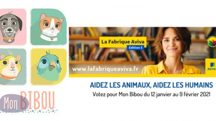 Illustration : Le réseau social pour la garde d'animaux "Mon Bibou", en lice pour un concours des meilleures idées solidaires