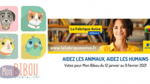 Illustration : Le réseau social pour la garde d'animaux "Mon Bibou", en lice pour un concours des meilleures idées solidaires