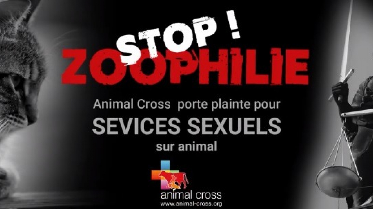 Illustration : "Zoophilie : une association réclame un durcissement du texte de loi sur la maltraitance des animaux"