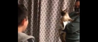 Illustration : "Brisé par la perte de son chat, un garçon ne peut retenir ses larmes lorsqu'il le retrouve (vidéo)"
