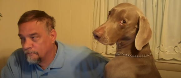 Illustration : "Un homme joue l'ignorance avec son chien, mais le Braque de Weimar fait tout pour le faire perdre (vidéo)"